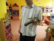 Obojživelníci a plazi